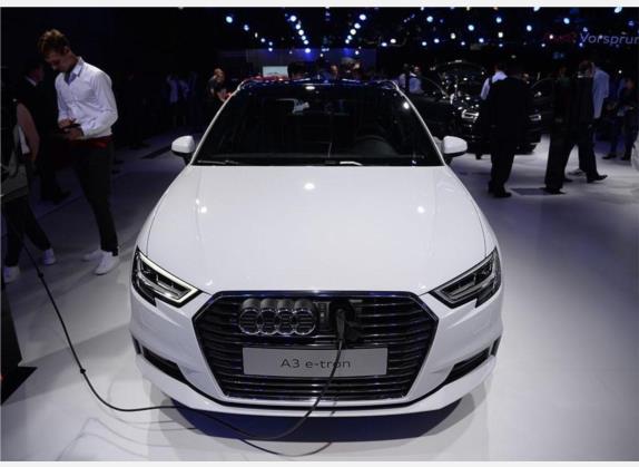 奥迪A3新能源(进口) 2017款 Sportback e-tron 舒适型 外观   正前