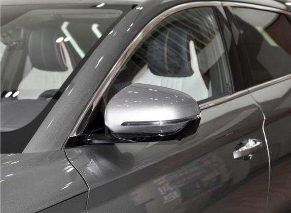 宋PLUS新能源 2021款 EV 尊贵型 外观细节类   外后视镜