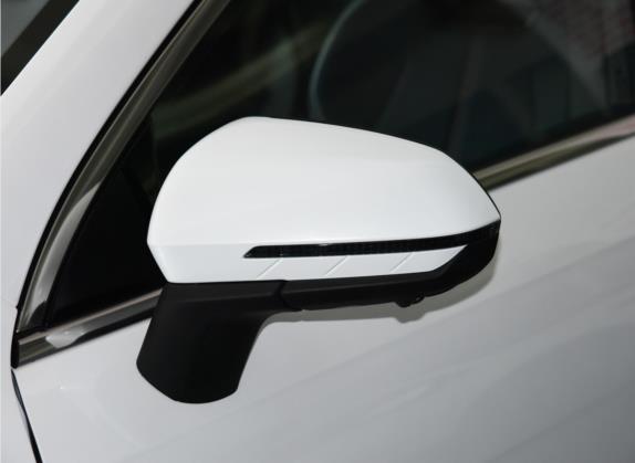 秦PLUS 2021款 EV 600KM 旗舰型 外观细节类   外后视镜