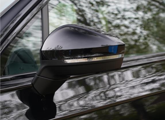 途锐 2022款  3.0TSI 锐享二十周年特别版 外观细节类   外后视镜