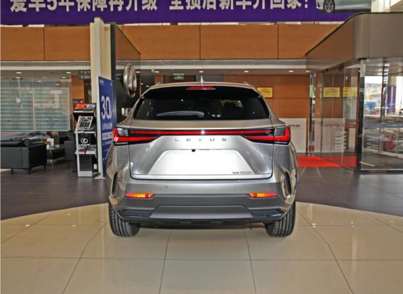 雷克萨斯NX 2022款 350h 前驱 创享版 外观   正后