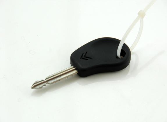 爱丽舍 2011款 三厢 1.6L 自动科技型 其他细节类   钥匙